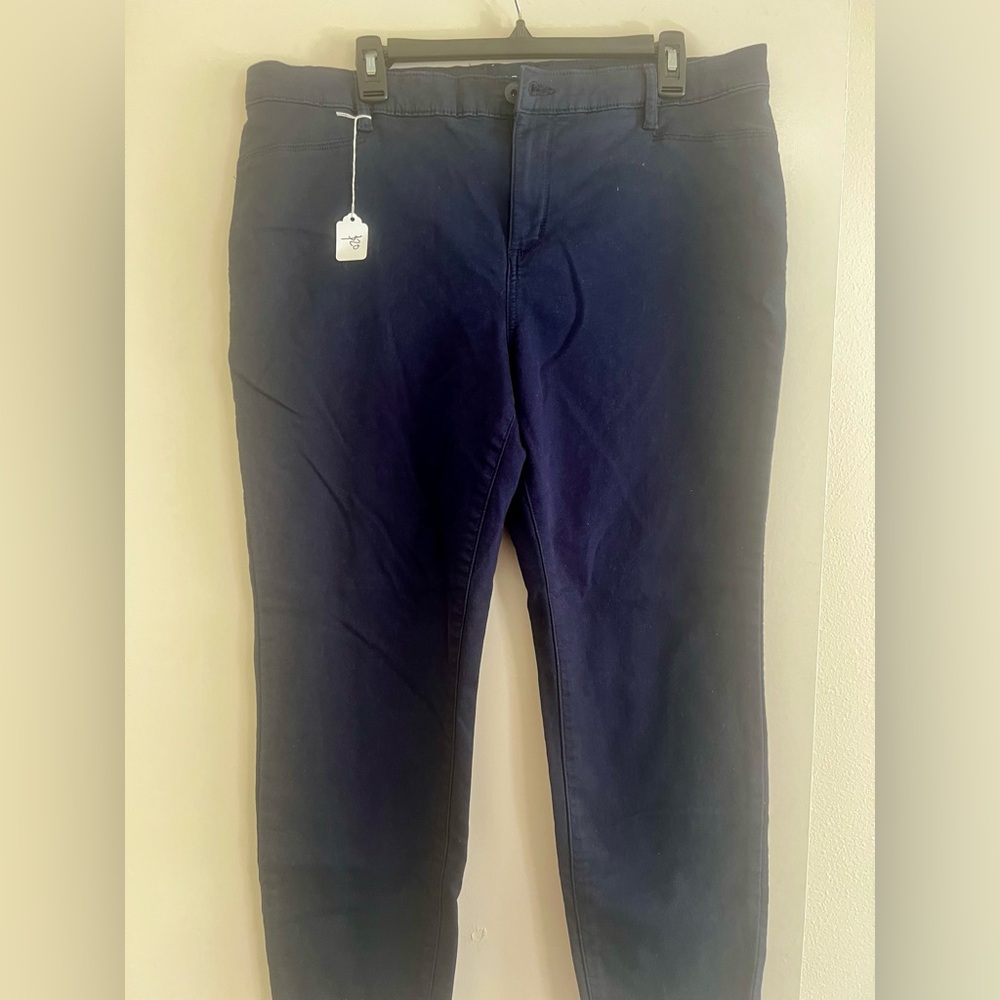 GAP Navy Skinny Pants